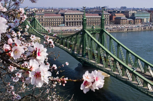 Pont de la Liberté à Budapest, Hongrie — Photo