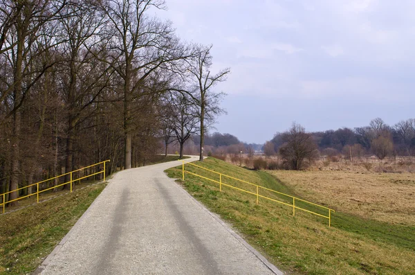 Floden vallar i Wroclaw, Polen — Stockfoto