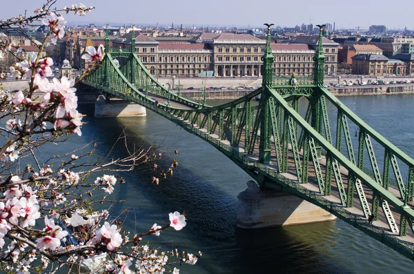 Pont de la Liberté à Budapest, Hongrie — Photo