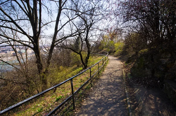 Path on Gellert hill in budapest, Hungary — Stock Photo, Image