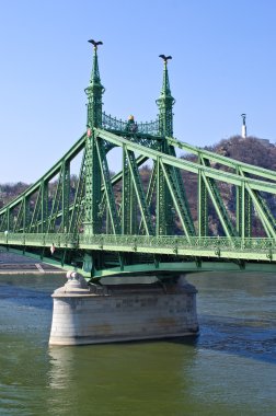 Budapeşte, Macaristan 'daki Özgürlük Köprüsü
