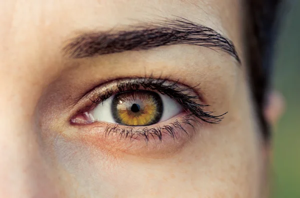 Brown female eye — Stock Photo, Image