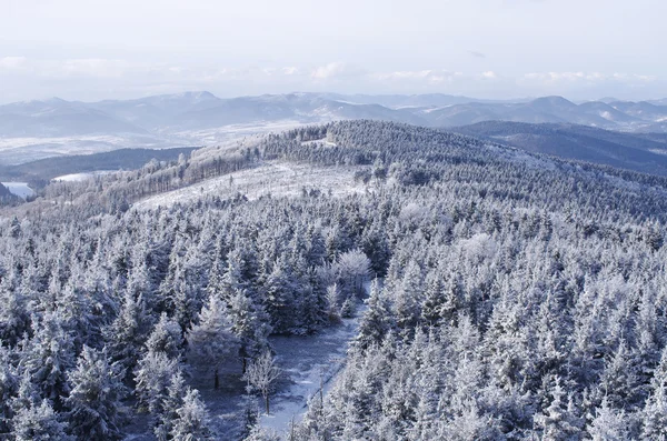 Пейзаж зимой — стоковое фото