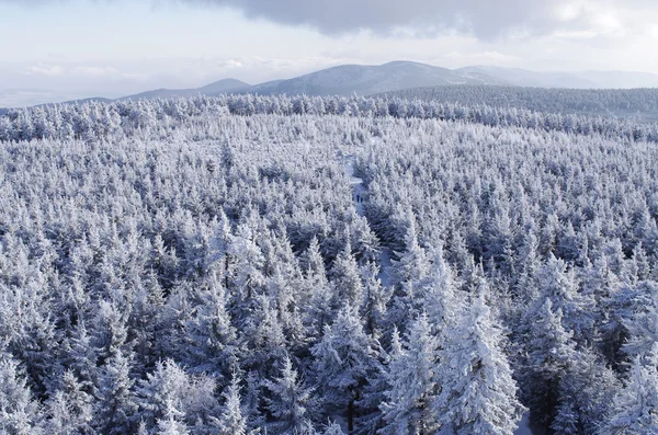 Winterlandung — Stockfoto