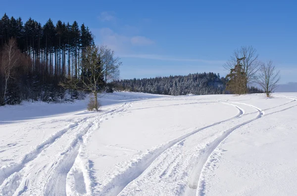 Track on the snow — Stock Photo, Image