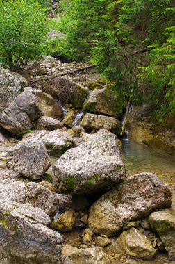 Polonya 'nın Pieniny dağlarındaki Homole vadisi.