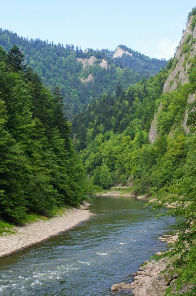 Floden Dunajec i Pieninybergen, Polen — Stockfoto