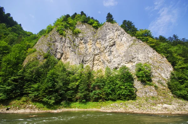 Rio Dunajec nas montanhas Pieniny, Polônia — Fotografia de Stock