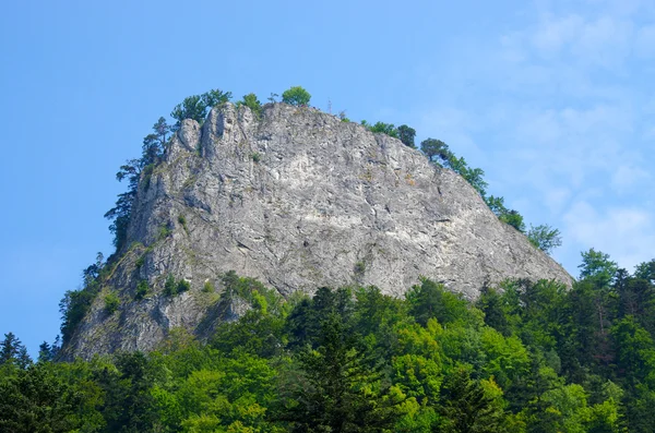 Sokolica spitze in pieniny berg, polen — Stockfoto