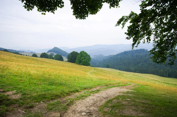 Countryside in Pieniny hills — Stock Photo, Image