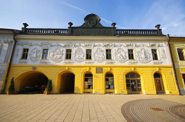 Das Provinzhaus, spisska nova ves, Slowakei. — Stockfoto