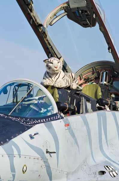 Slowakische mig-29 auf radom airshow, polen — Stockfoto