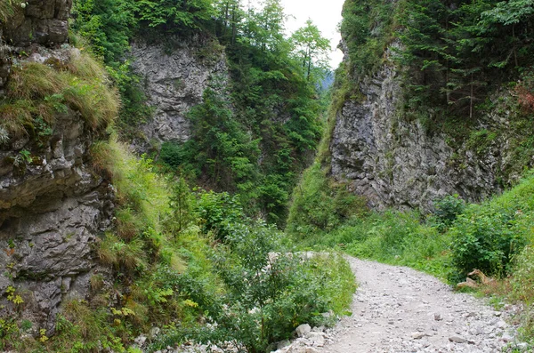 Caminho em Homole Gorge, Pieniny Mountains, Polônia — Fotografia de Stock