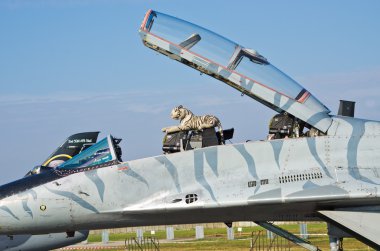 Slovakça Mig-29 tarihinde Radom Airshow, Polonya