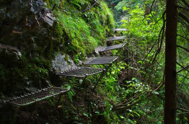 Hornad Nehri boyunca, Slovak cennet iz