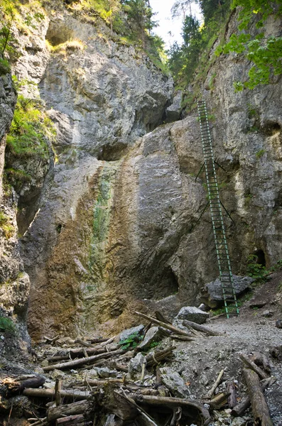 Cliff met ladder in Slowaaks paradijs — Stockfoto