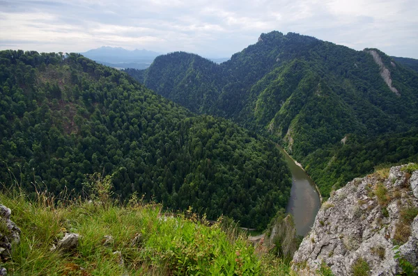 Rio Dunajec nas montanhas de Pieniny - Polónia — Fotografia de Stock