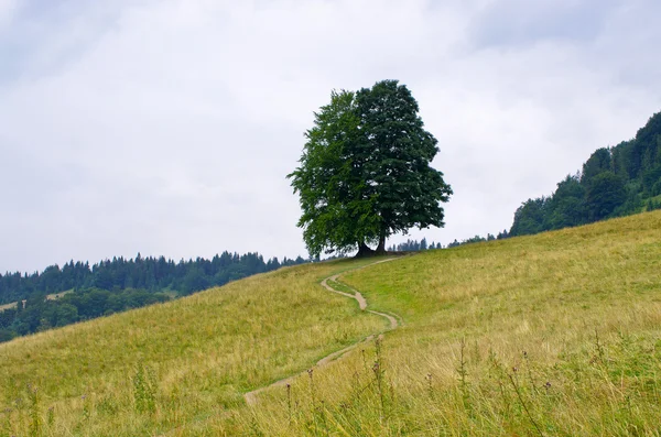 Landschaft in pieniny Hügeln — Stockfoto