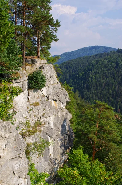 Tomasovsky Vyhlad точки зору, зокрема Словацький рай — стокове фото