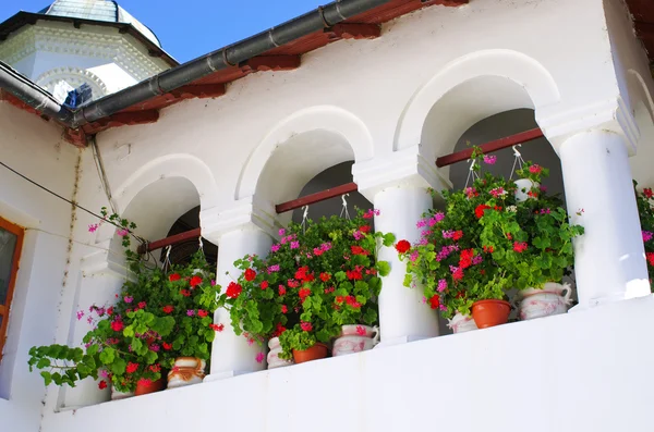 Bloemen in de windows — Stockfoto