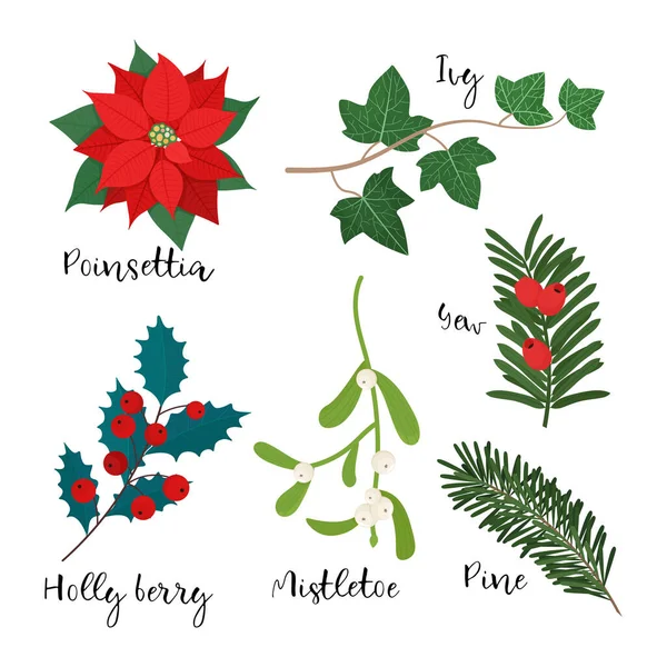 Ensemble Différentes Plantes Noël Illustration Vectorielle Style Plat — Image vectorielle