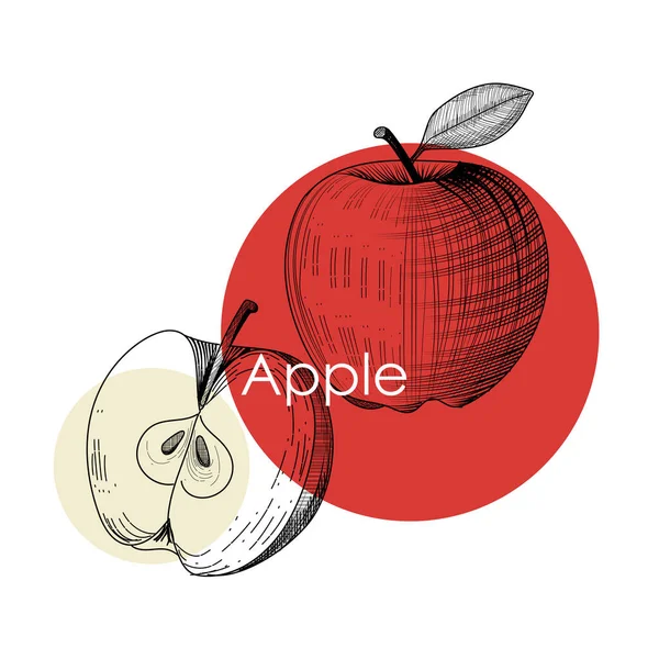 Modelo Design Apple Maçã Gravada Ilustração Vetorial Para Etiqueta Cartaz — Vetor de Stock