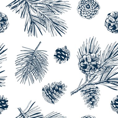 Pine Branch ve Cone Hand-Drawn Style Leamless Destern. Külahlı Evergreen Sedir Dalı. Oymalı Vektör İllüstrasyonu.