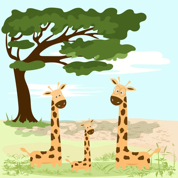 Family Giraffes Large Tree — Stock Vector