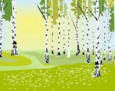 bahar ormanı ve çiçekli çayır