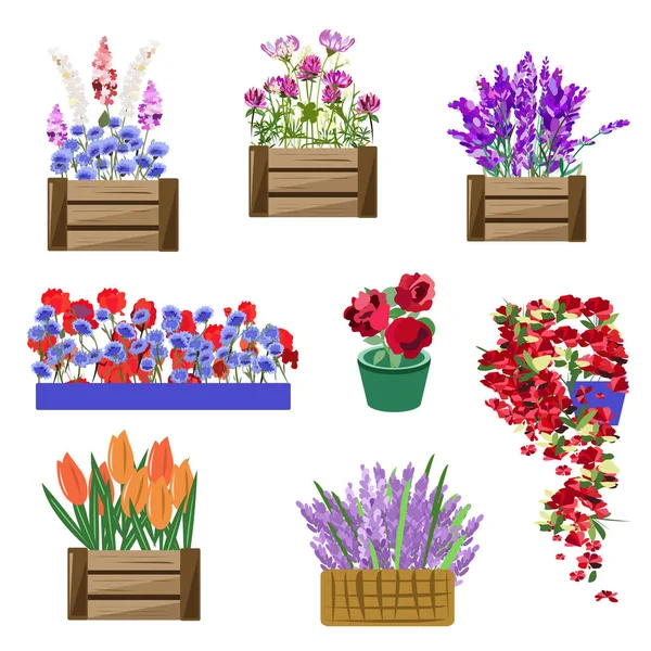 白い背景に異なる種類の箱やポットに花の苗のセット — ストックベクタ
