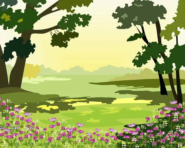 晴れた日にはクローバーの花と春の森の風景 — ストックベクタ