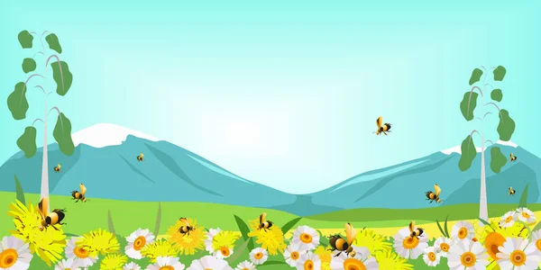 Wiosenna Łąka Kwiatami Ziołami Pszczoły Wśród Stokrotek Dmuchawców Wiosenny Krajobraz — Wektor stockowy