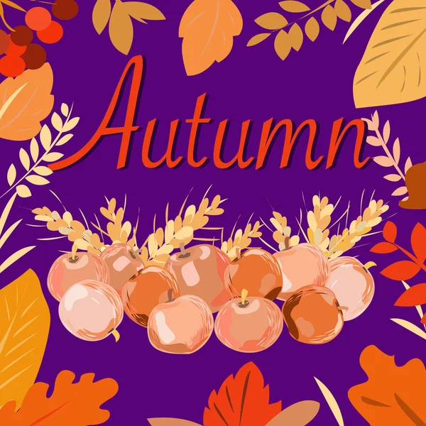 Inscription Autumn Apples Pink Purple Background Ears — Stock Vector