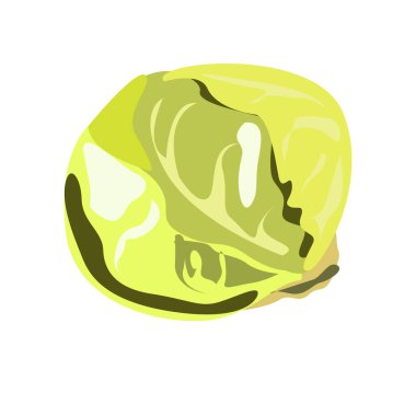 Beyaz arka planda yaprakları olan yeşil lahana..