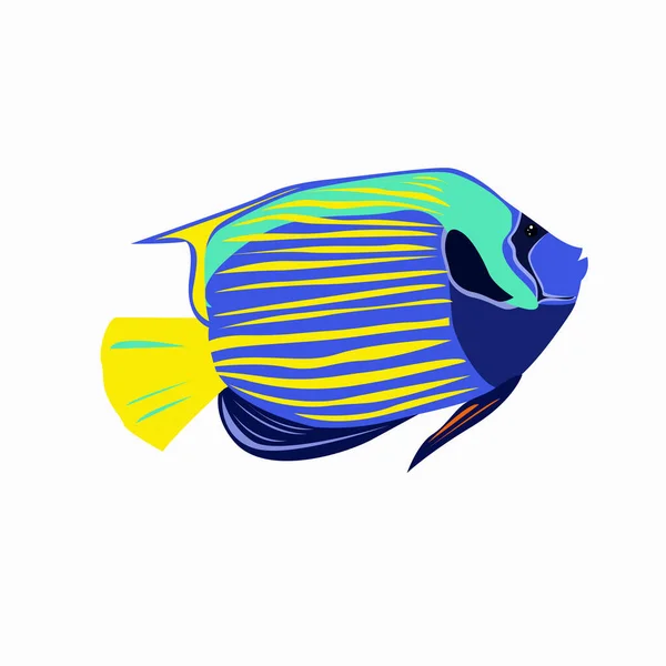 Pomacanthus Imperator Poisson Aquarium Tropical Ange Impérial Sur Fond Blanc — Image vectorielle