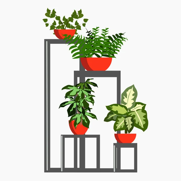 Estante Con Plantas Interior Macetas Rojas Sobre Fondo Blanco — Vector de stock