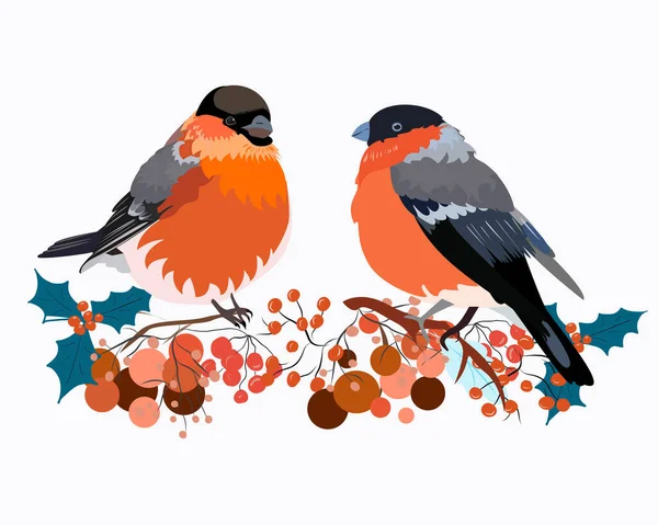 Две Птицы Ветвях Красными Ягодами Роуэн — стоковый вектор