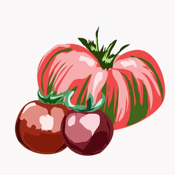 Specjalna Odmiana Czarnych Pomidorów Białym Tle — Wektor stockowy