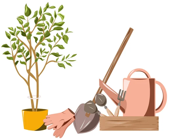 Conjunto Ferramentas Jardinagem Uma Pequena Árvore Vaso —  Vetores de Stock