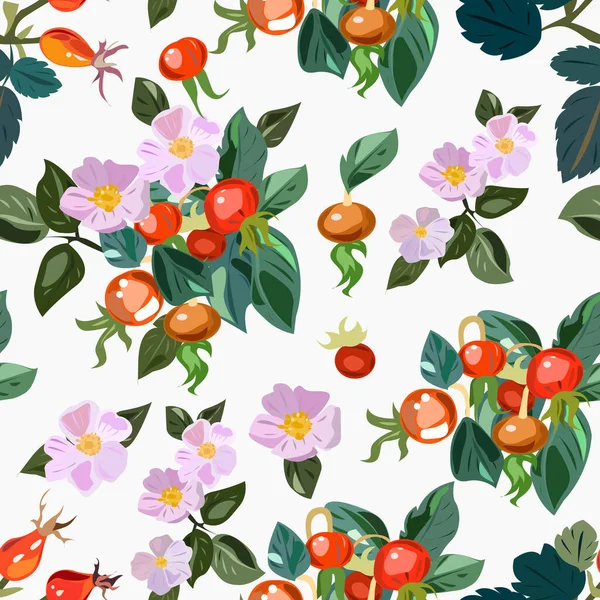 Motif Sans Couture Avec Des Feuilles Cynorrhodon Des Fleurs Fruits — Image vectorielle