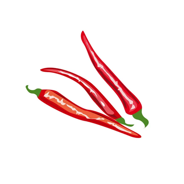 Pimienta Roja Picante Sobre Fondo Blanco — Vector de stock