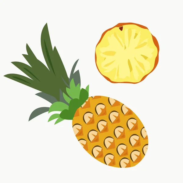 Bütün ananas ve kesilmiş — Stok Vektör