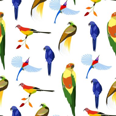 Cennet kuşları ve papağanların kusursuz desenleri