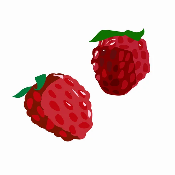 Baies Framboises Rouges Mûres Sur Fond Blanc Élément Isolé — Image vectorielle