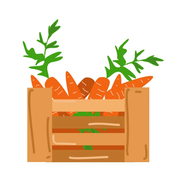 Dřevěná Krabice Čerstvou Pomerančovou Mrkví — Stockový vektor