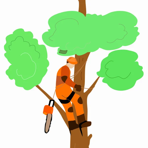 Ein Baumpfleger Klettert Mit Einer Säge Auf Einen Baum Vektorgrafiken
