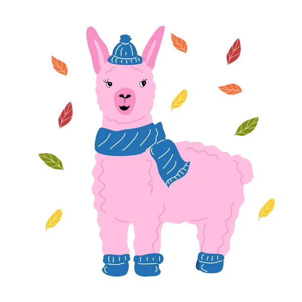 Llama Rosa Una Gorra Bufanda Calcetines Calientes — Archivo Imágenes Vectoriales