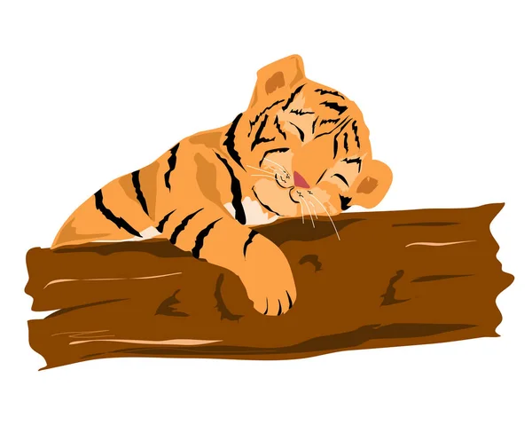 Little Tiger Cub Sleeps Tree — Stock Vector