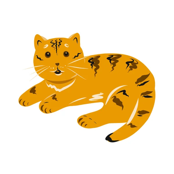 Portakal renginde yalan söyleyen turuncu kedi. Beyaz arkaplandaki element. — Stok Vektör