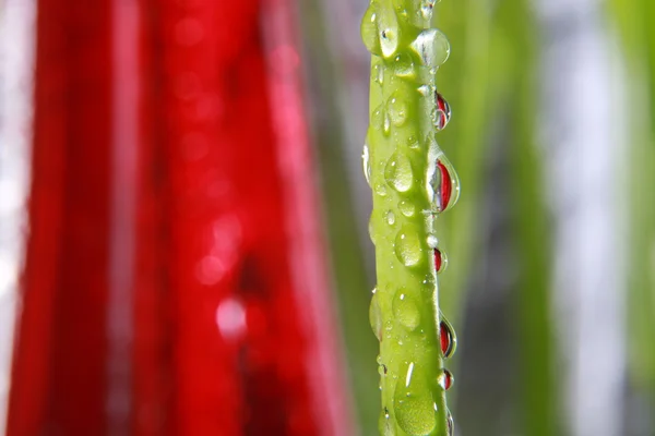 Gotas de agua brillante rociadas sobre la superficie roja texturizada . — Foto de Stock